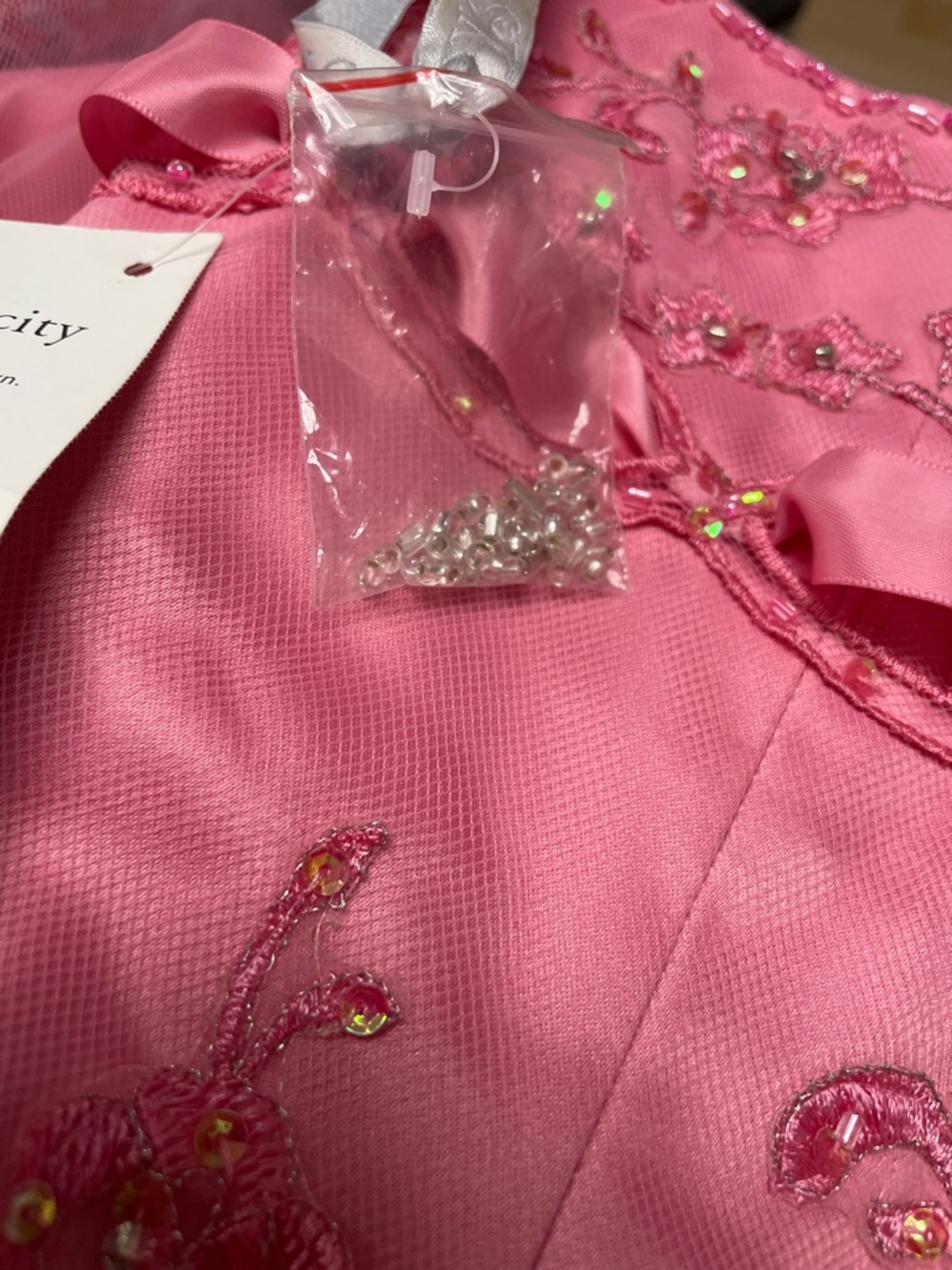 Mary’s Quinceañera Dress - Picture 10 of 10
